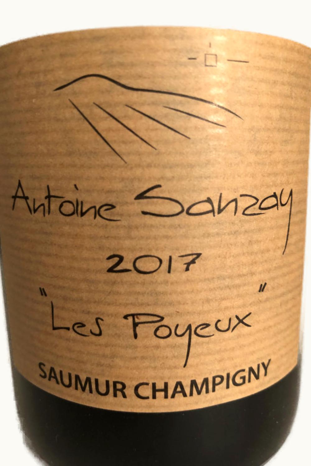 Robert Marcel Robert Marcel Lieu-Dit Les Poyeux Saumur-Champigny Anjou Loire France, 2005