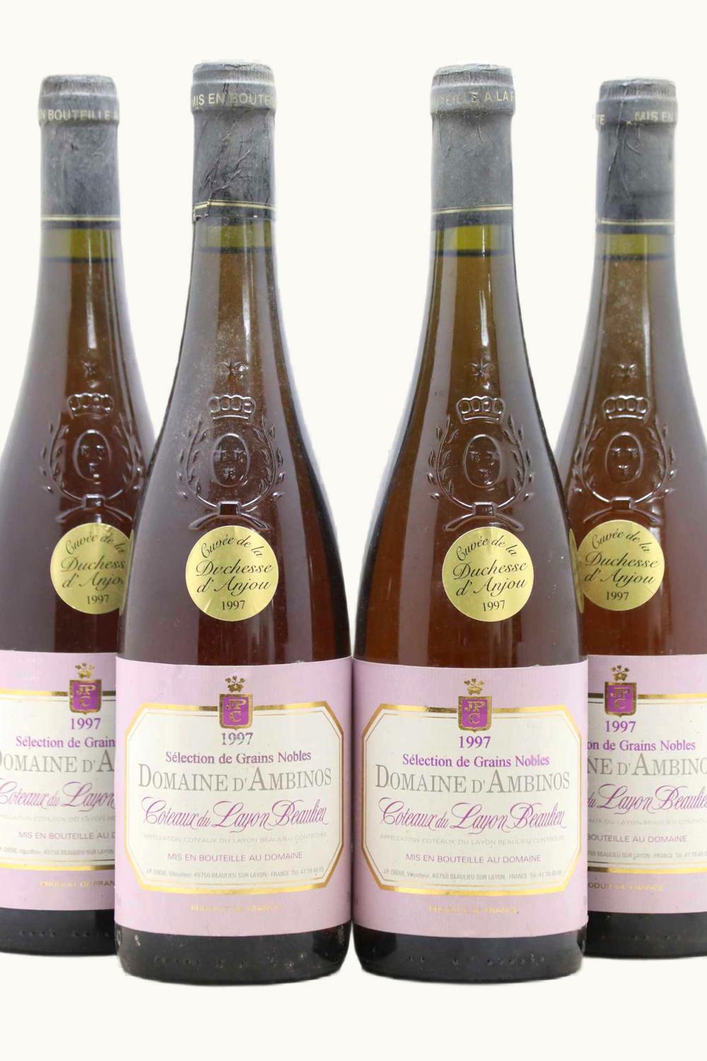 Domaine Les Grand Vigne Domaine Les Grand Vigne Select de Grain Noble Coteaux du Layon Anjou Loire France, 1997