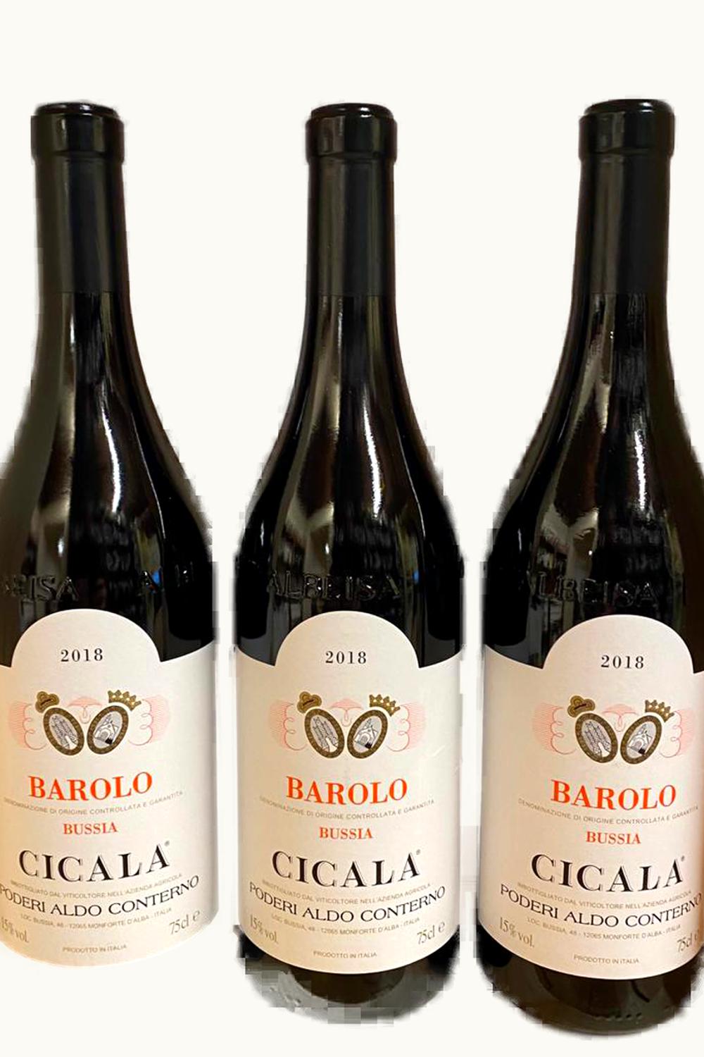 Podere Aldo Conterno Podere Aldo Conterno Bussia Cicala DOCG Barolo, 2018