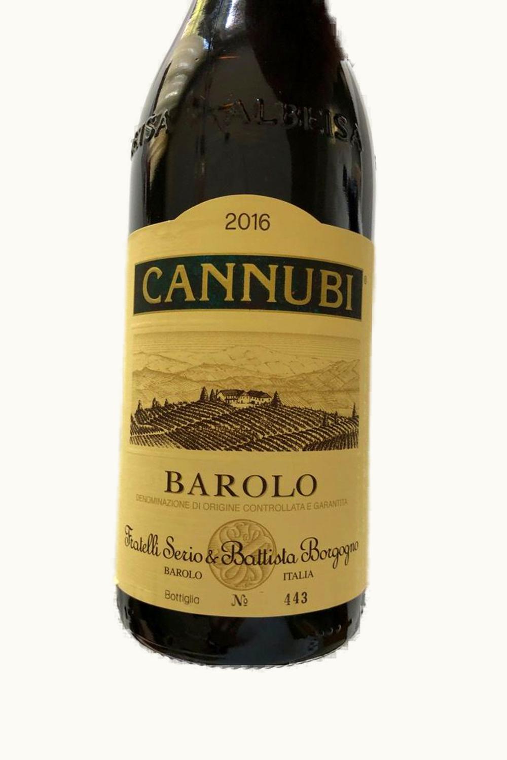 Fratelli Sergio Batista Borgogno Fratelli Sergio Batista Borgogno Cannubi Rsrv, 2013