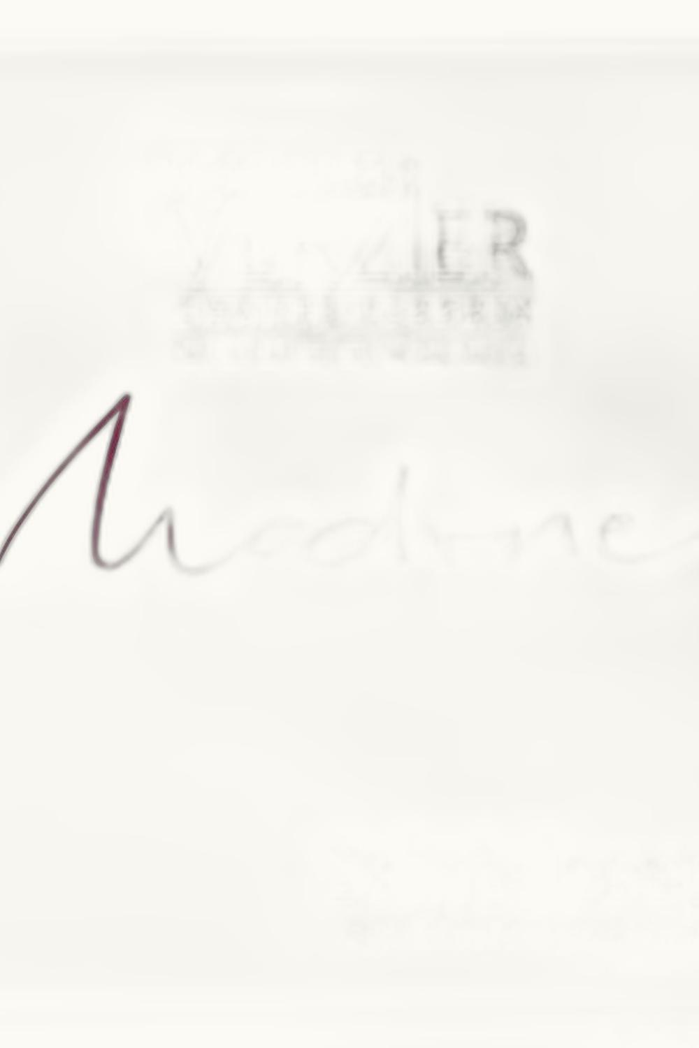 VIgnoble Verzier VIgnoble Verzier Chante Perdrix La Madone St Joseph Rhone France, 1994