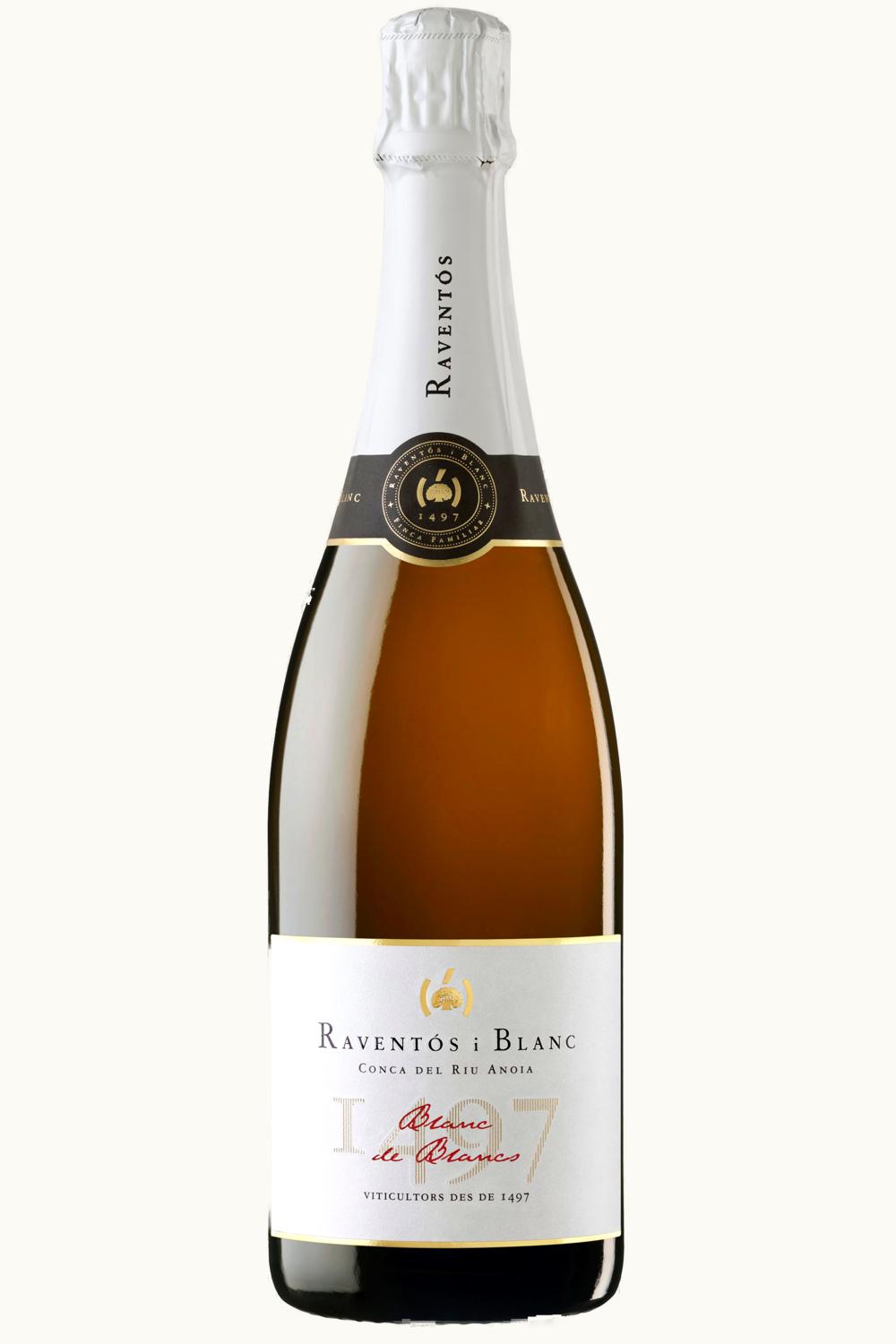 Raventós i Blanc Raventós i Blanc Conca Riu de Arnoia, 2021