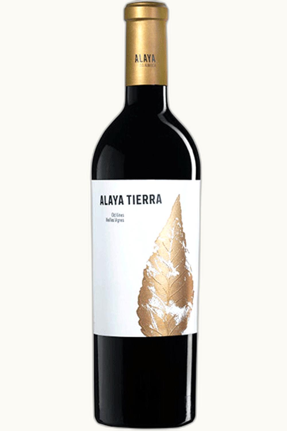 Atalaya Atalaya Ayala Tierra, 2020
