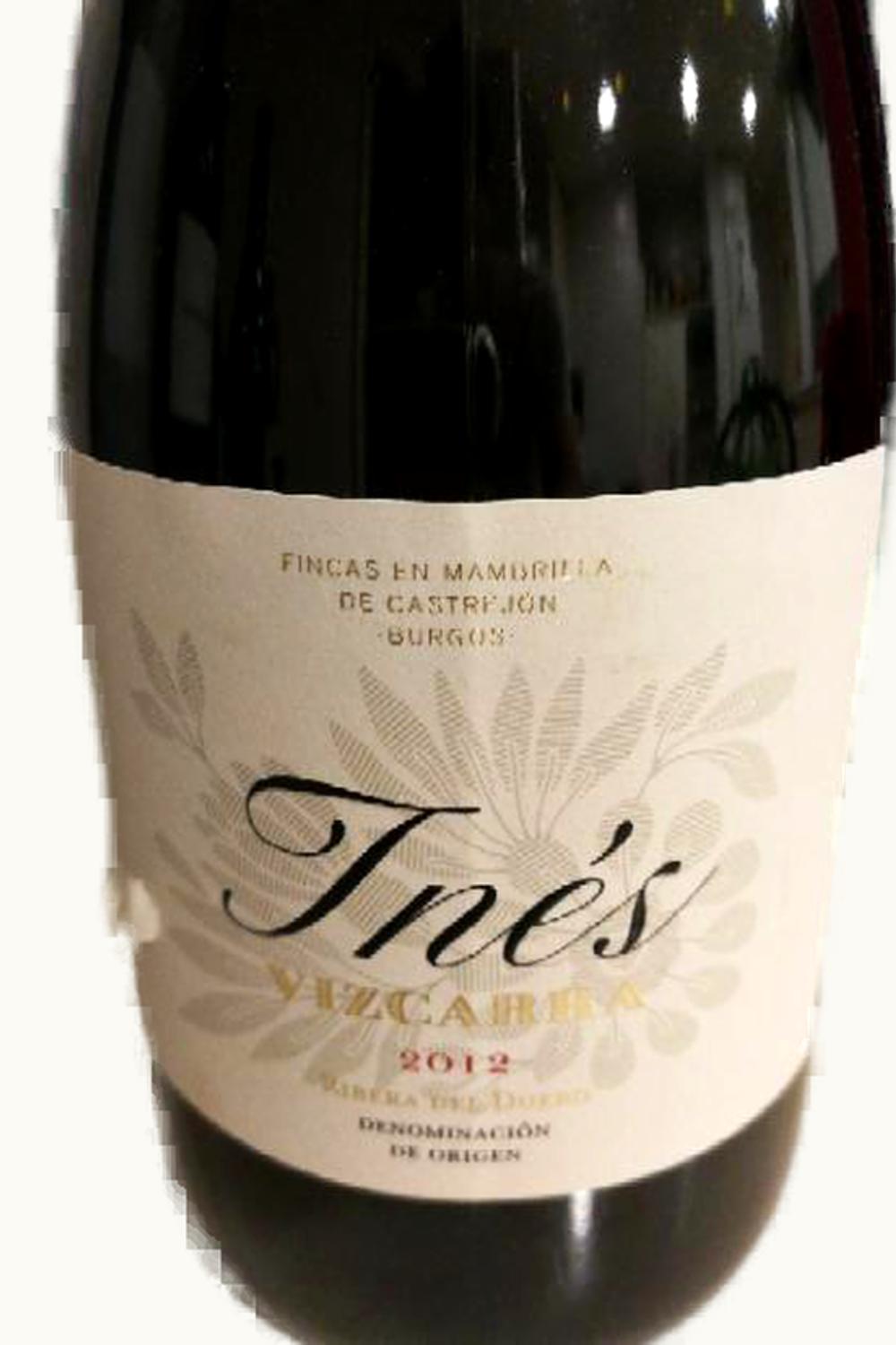 VIzcarra VIzcarra Inés, 2016