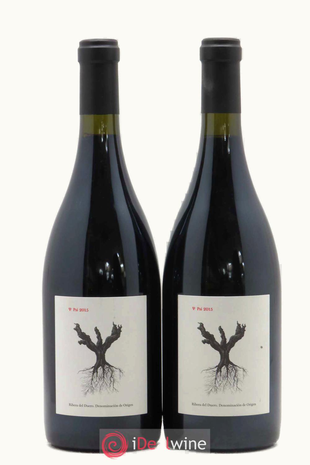 Domaine de Pingus Domaine de Pingus Ribera del Duero, Castilla y Leon, Spain, 2015 UZ0698779