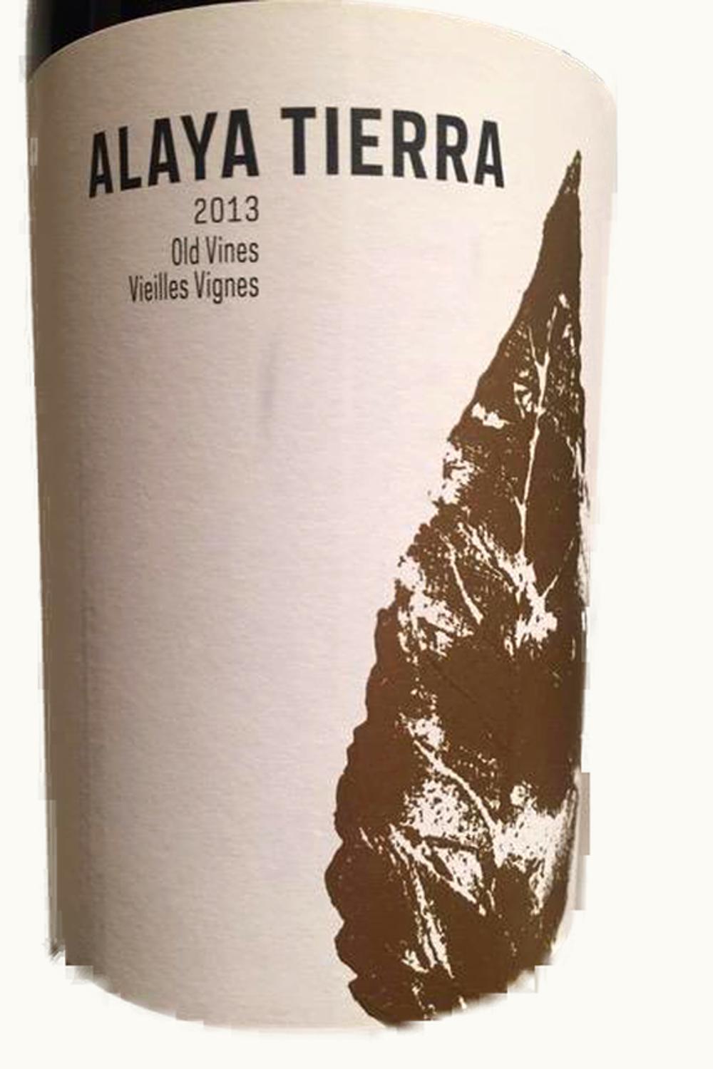 Atalaya Atalaya Ayala, 2013