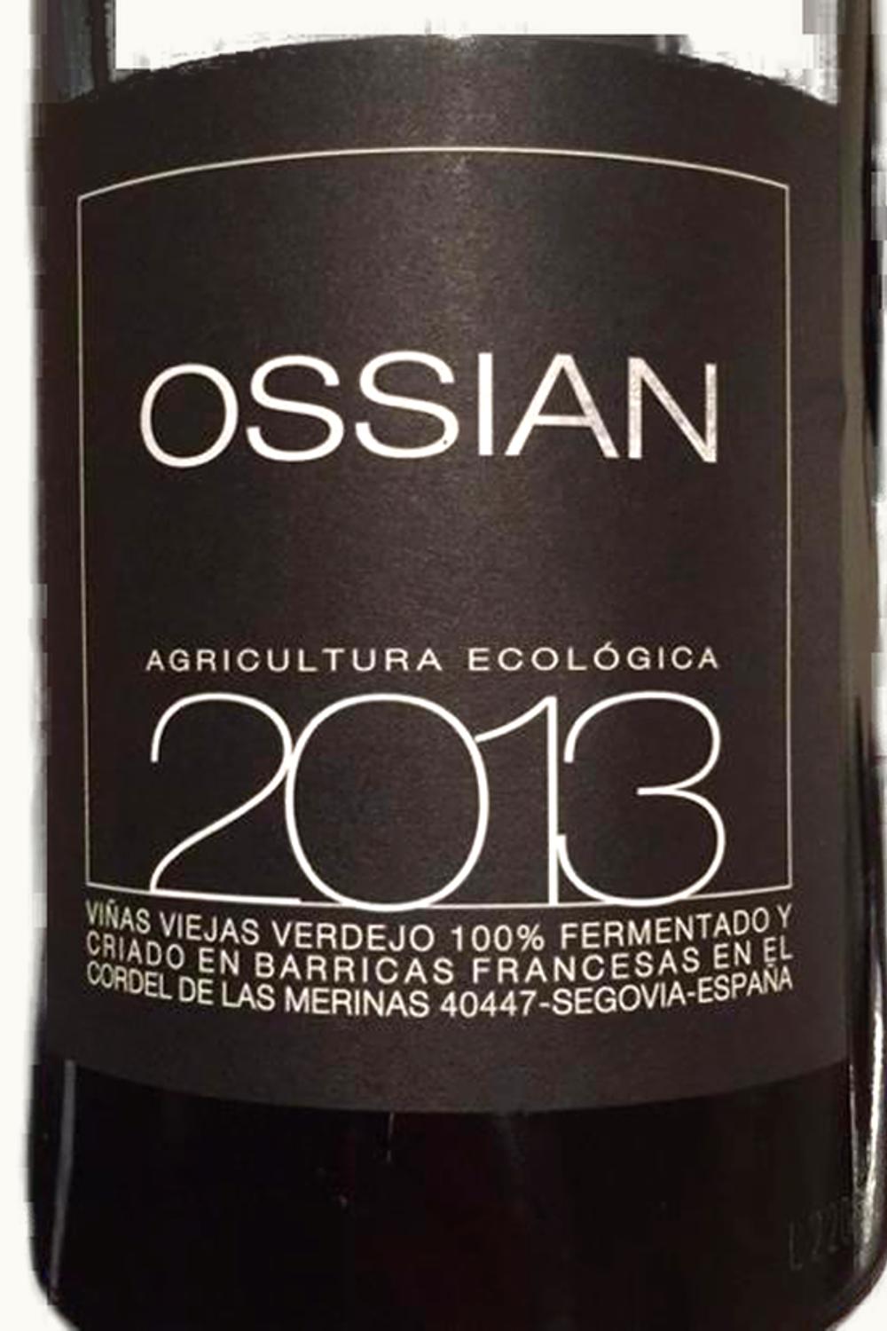 Ossian Viñas Viejas, 2013