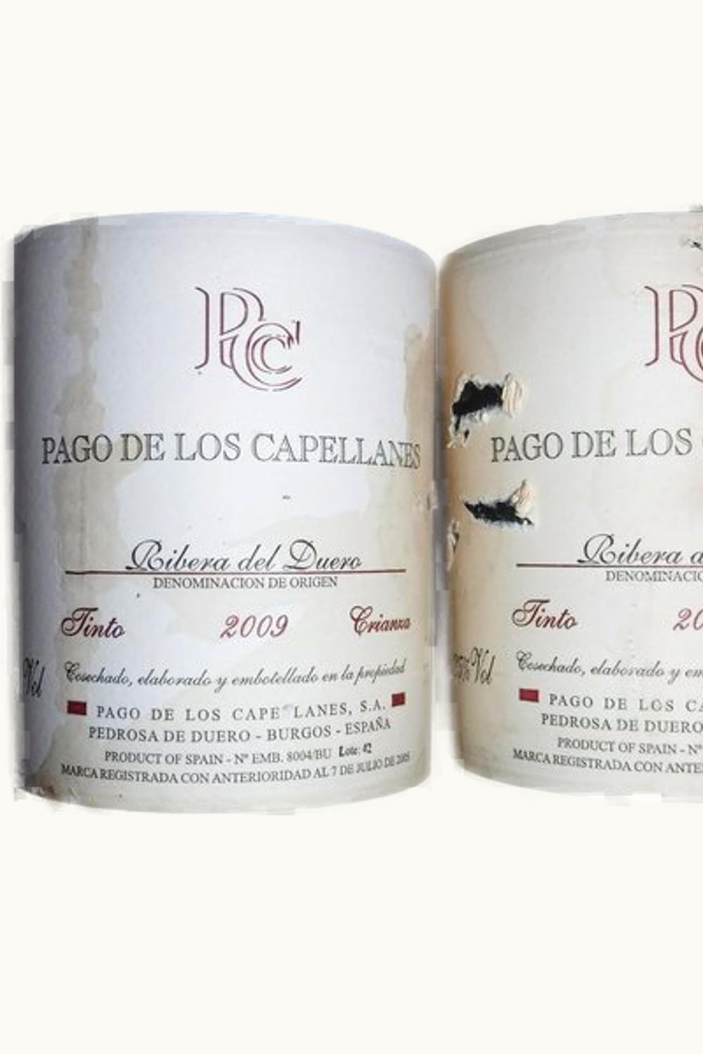 Pagos de los Capellanes Crianza Ribera del Duero, 2009