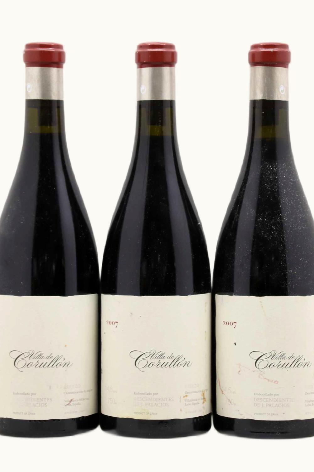 Descendientes de J. Palacios Villa Corullón Bierzo, 2007