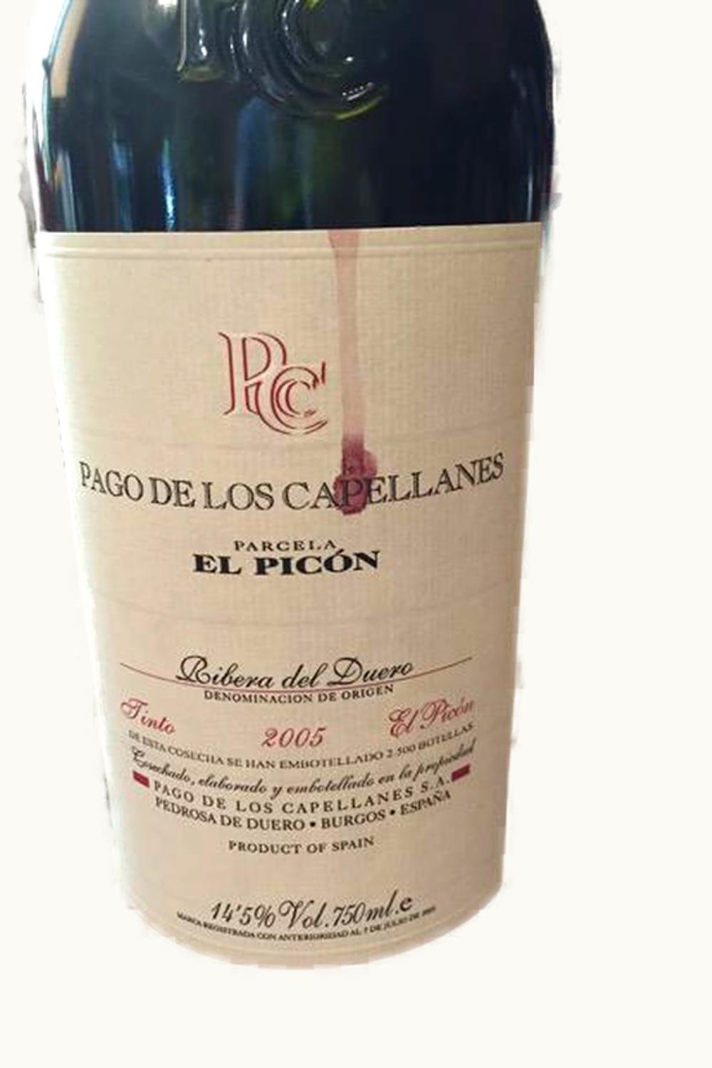 Pagos de los Capellanes Parcela El Picon, 2006