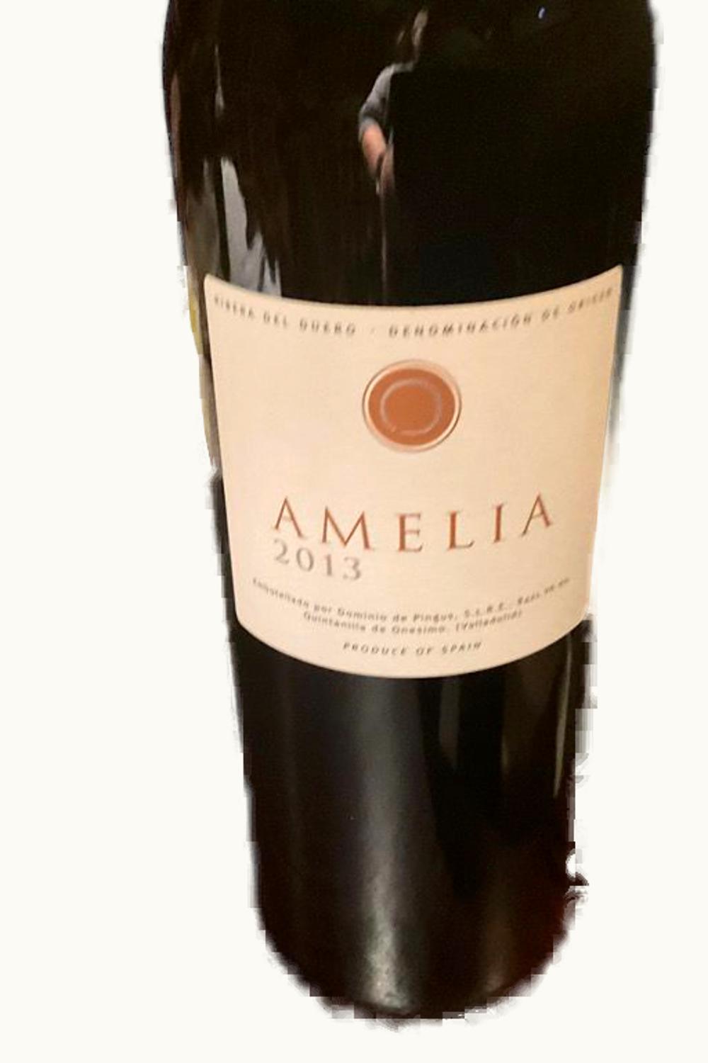 Domaine de Pingus Domaine de Pingus Amelia Ribera Duero Castilla y Leon Spain, 2005