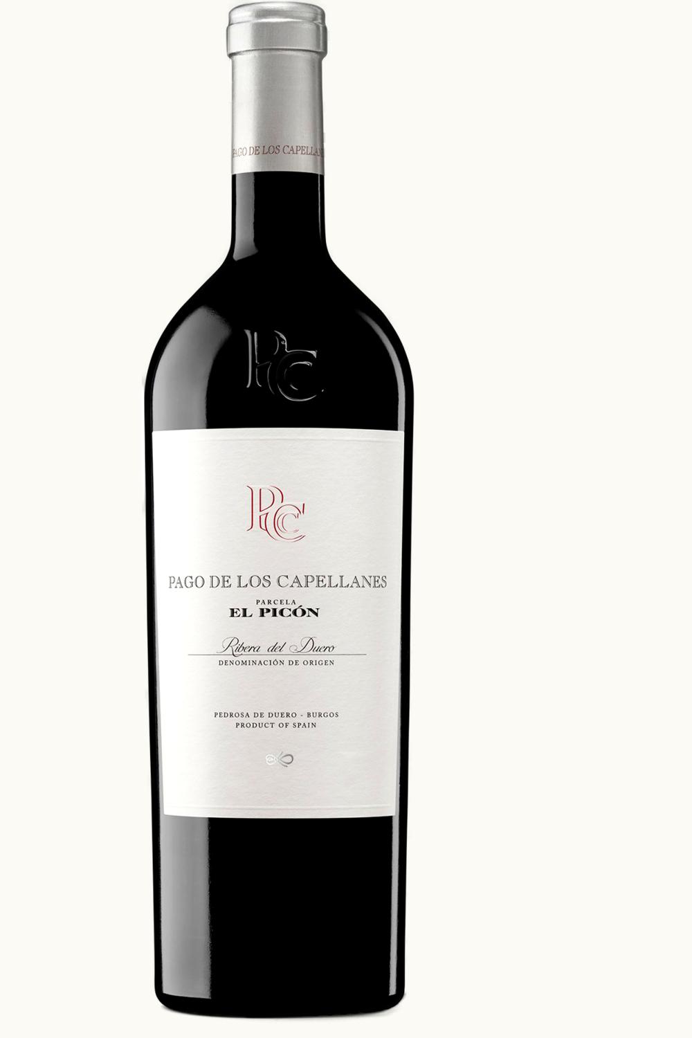 Pagos de los Capellanes Parcela El Picon Ribera Duero Castilla y Leon Spain, 2004