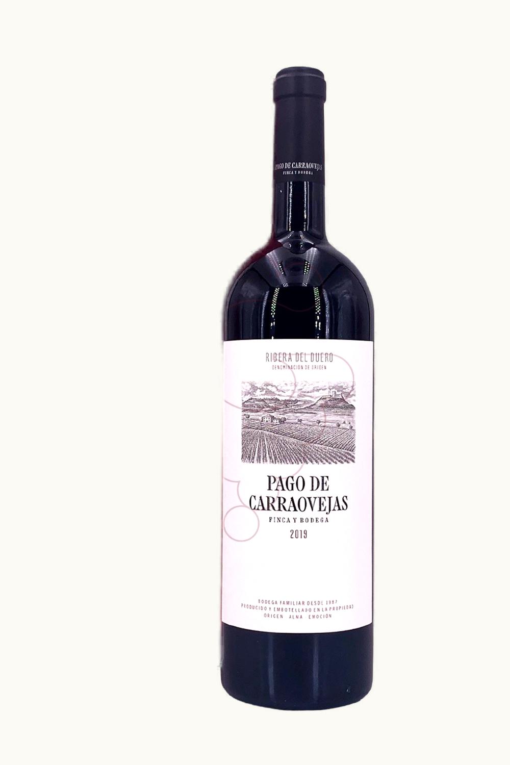 Pagos de Carraovejas Cuesta Liebres Grand Anades Ribera Duero Castilla y Leon Spain, 2004