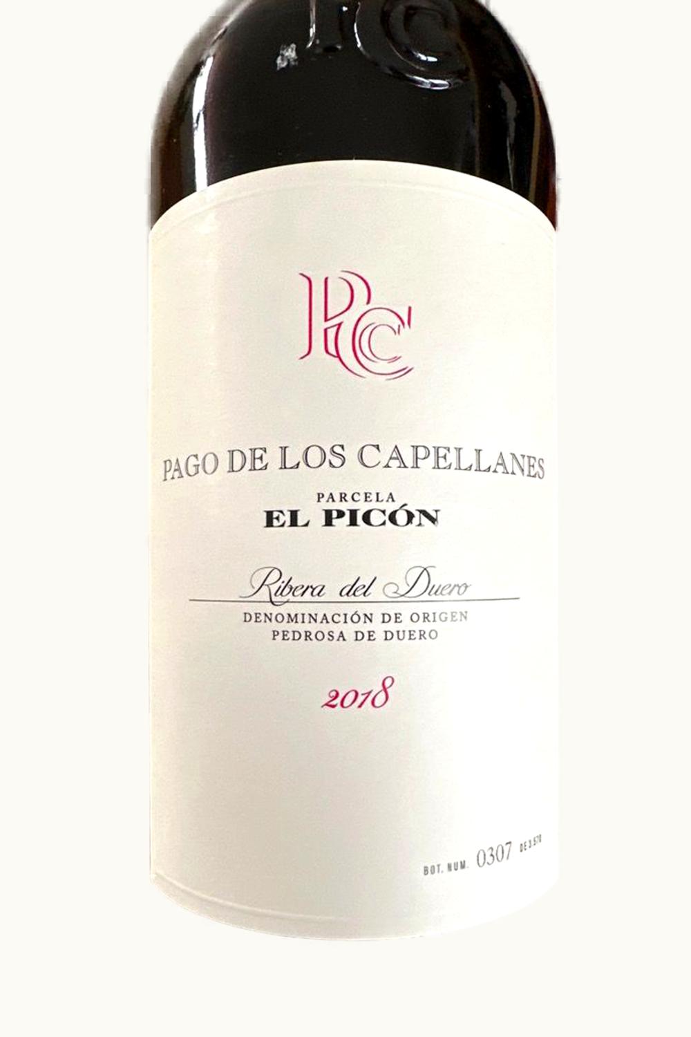 Pagos de los Capellanes Parcela El Picon Ribera Duero Castilla y Leon Spain, 2003