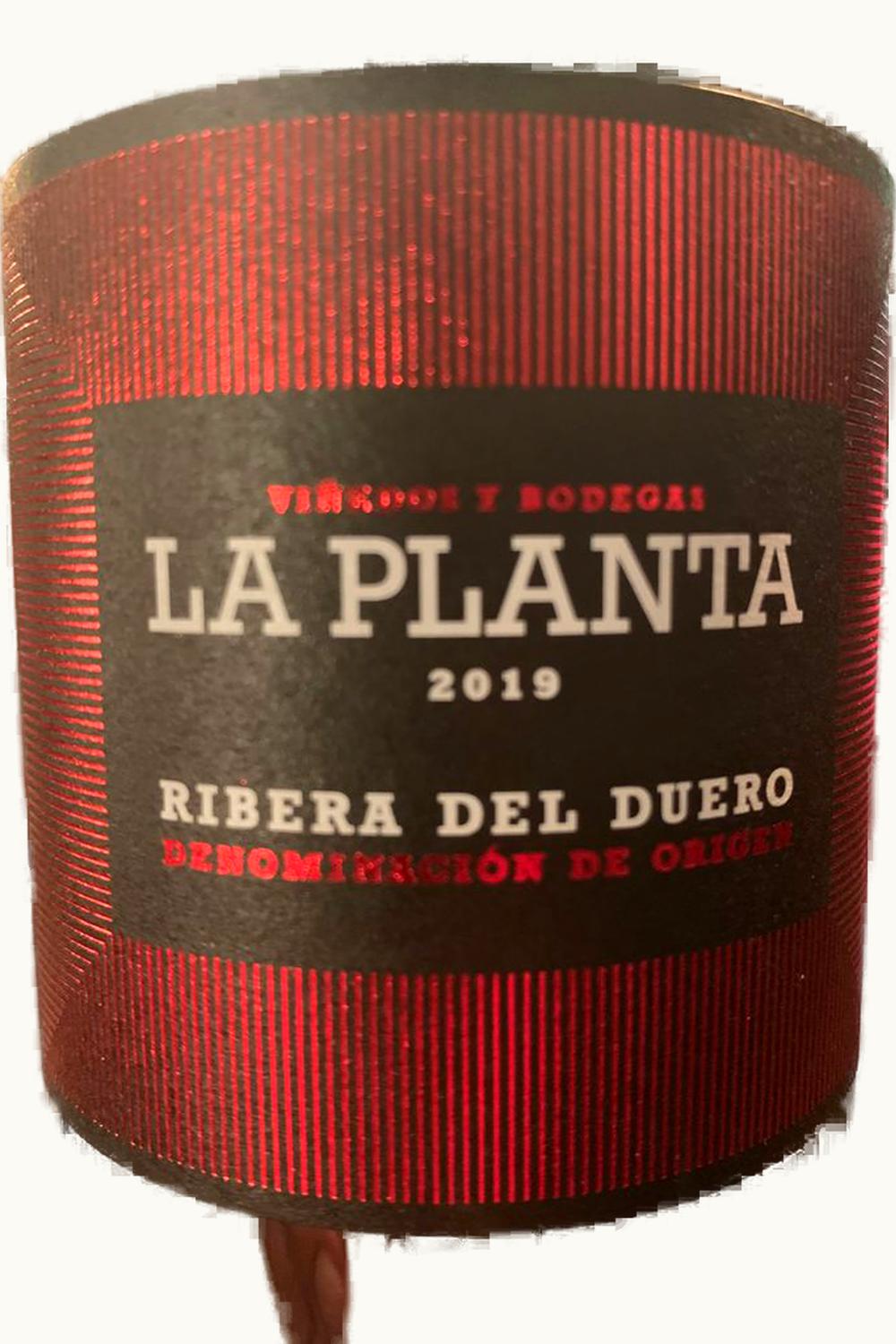 Arzuaga Navarro La Planta, 2003