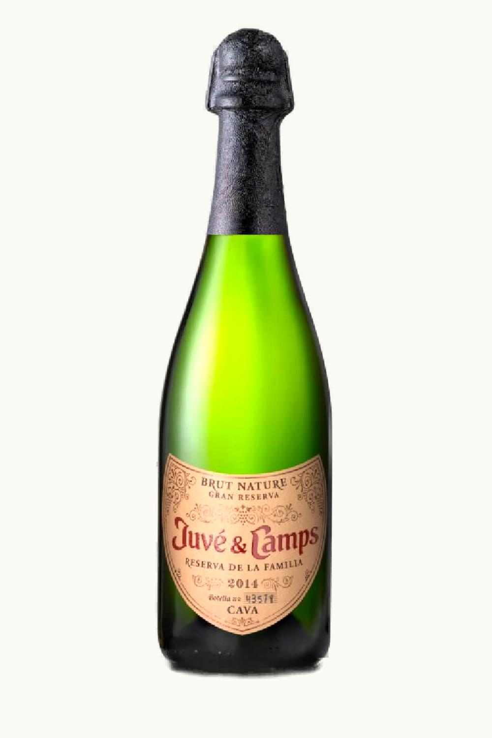 Juvé y Camps Juvé y Camps Reserva de la Familia Grand Brut Nature, 1999
