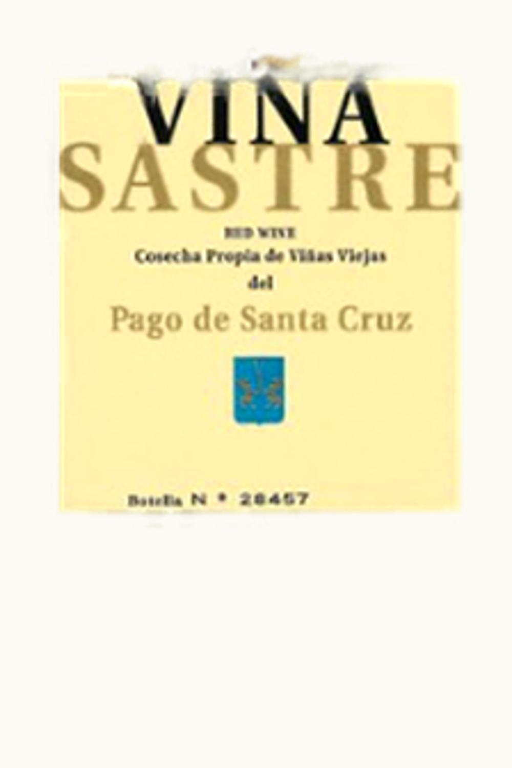 Hermanos Sastre Viña Páganos de Santa Cruz Ribera del Duero D.O. Castilla y León, 1998