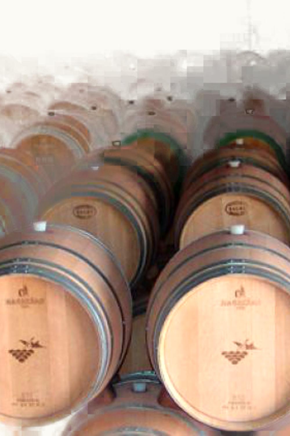 VInícola de Tomelloso VInícola de Tomelloso Torre Gazate Gran Reserva, 1995