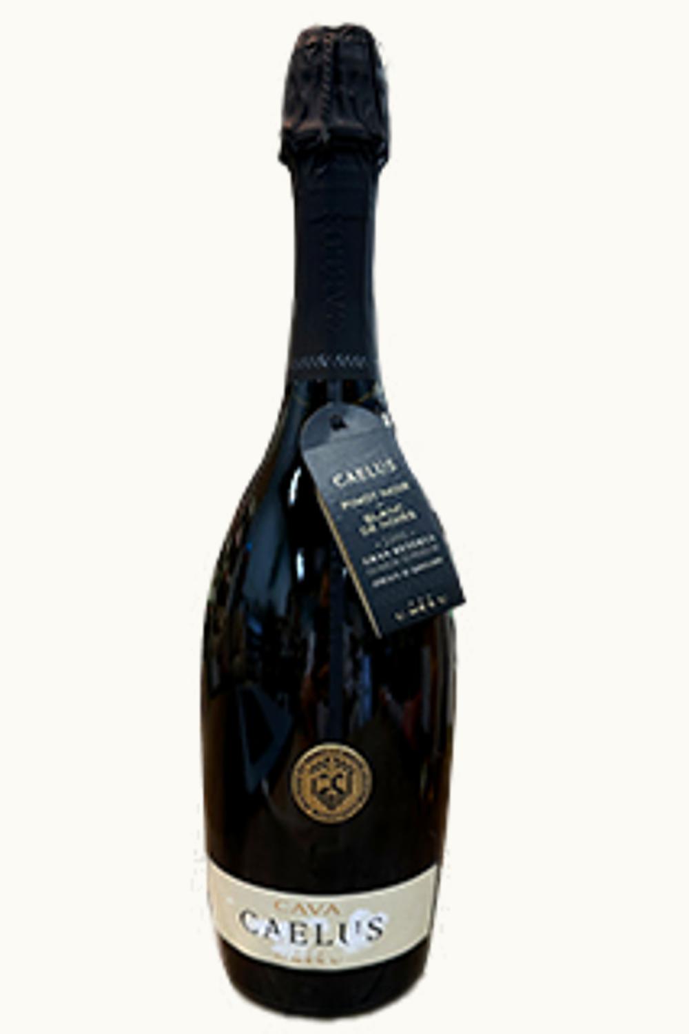 Santiago Castillo de Ezpeleta Gran Reserva D.O.Ca. Rioja, 1970