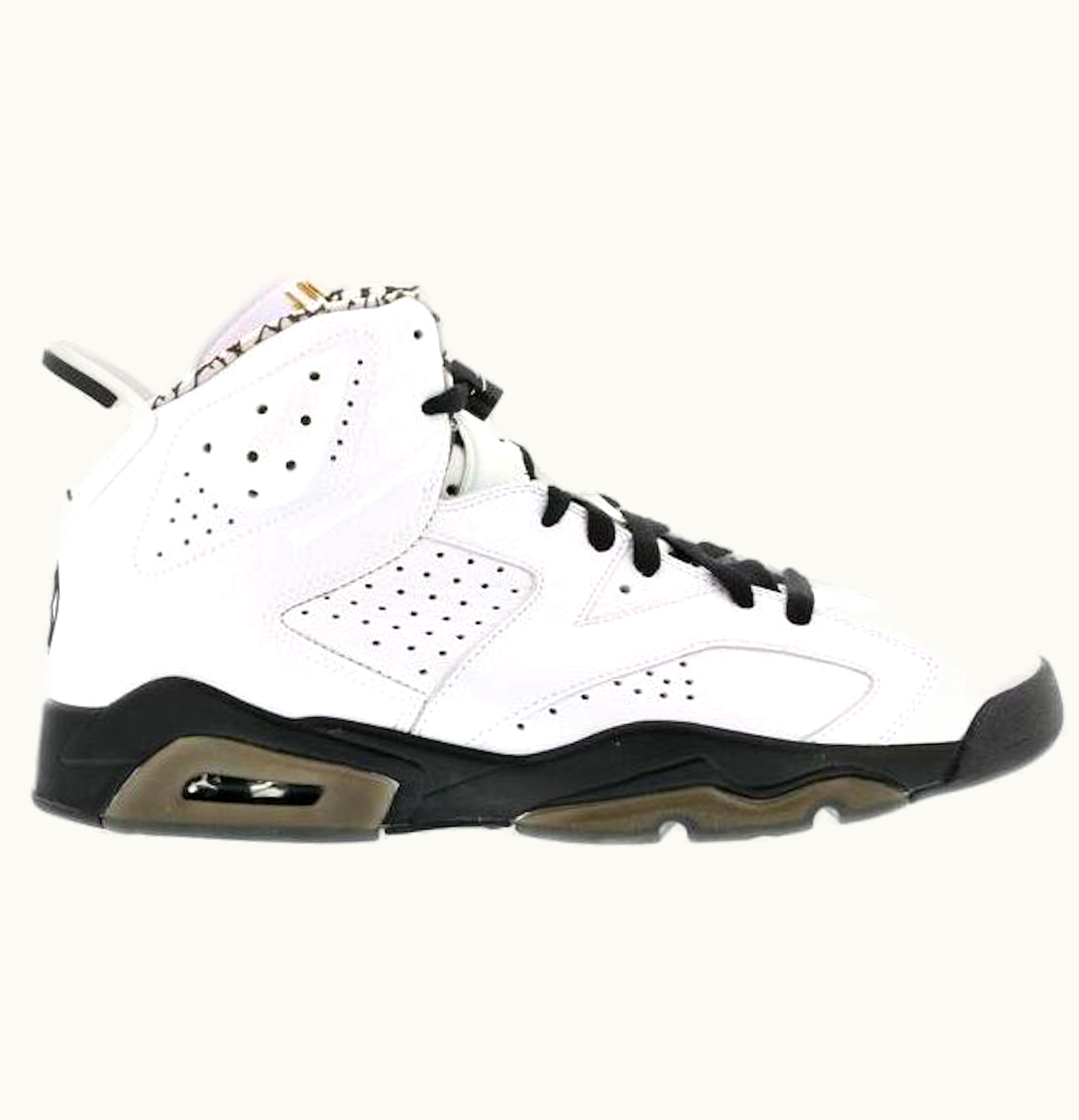 Jordan Air Jordan 6 Retro Motorsports