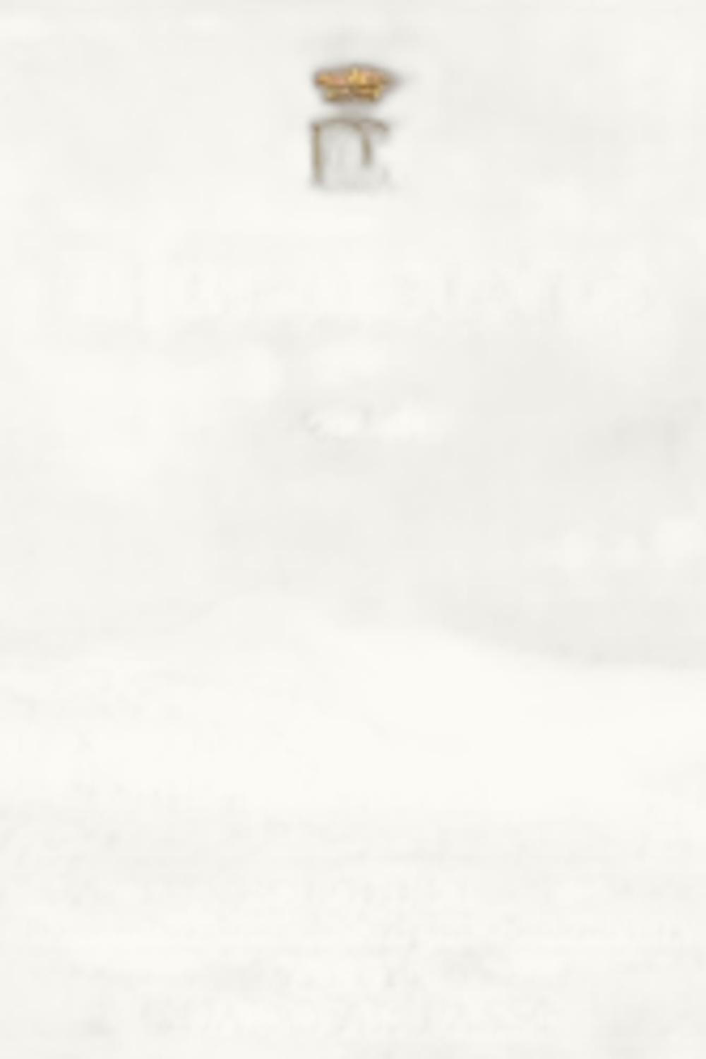 Marchesi Antinori Marchesi Antinori Tenute Guado al Tasso Bruciato Bolgheri Tuscany IGP, 2010