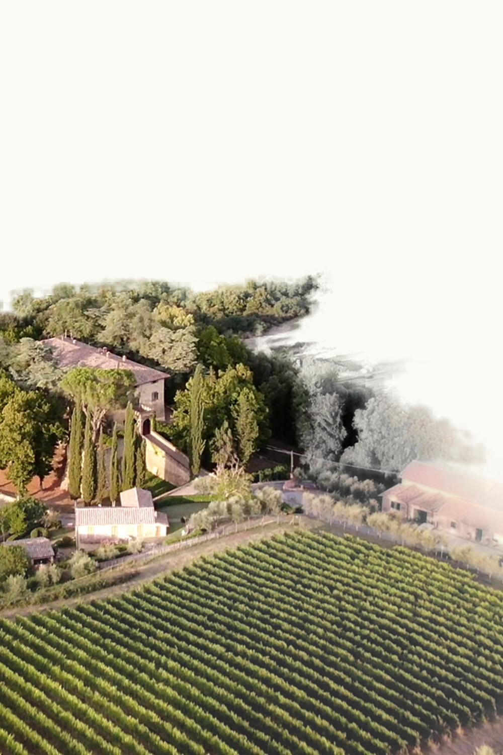 Fattoria della Aiola Fattoria della Aiola Logaiolo Colli Central IGP, 1984