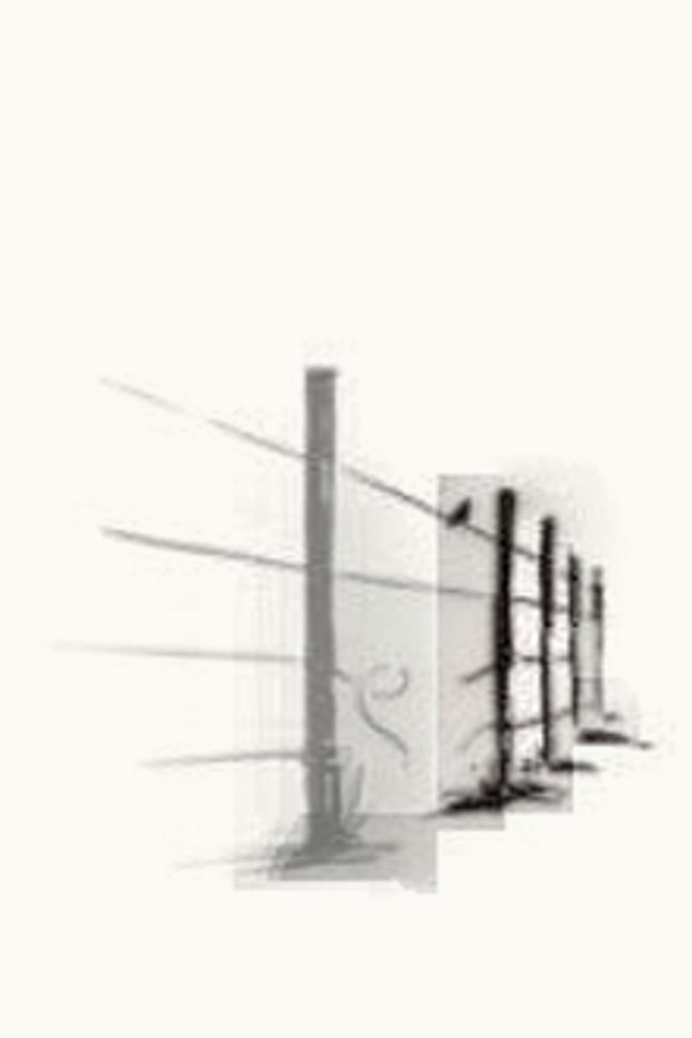 Sauvage Thief Sauvage Thief The Night Citrusdal, 2021