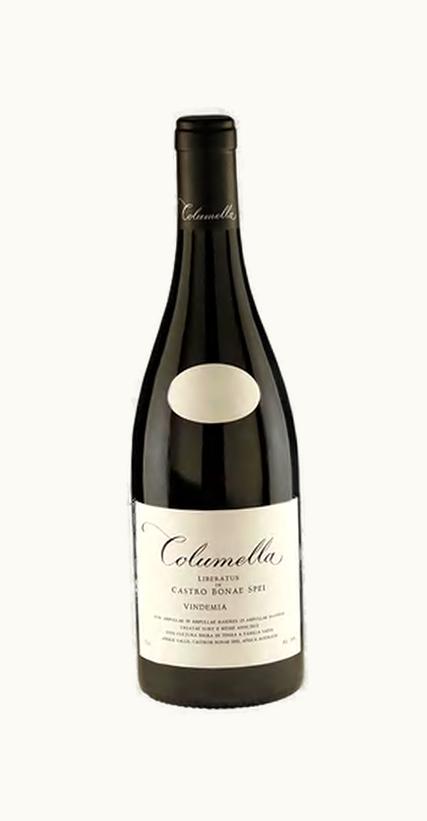 The Sadie Family The Sadie Family Columella Red, 2018