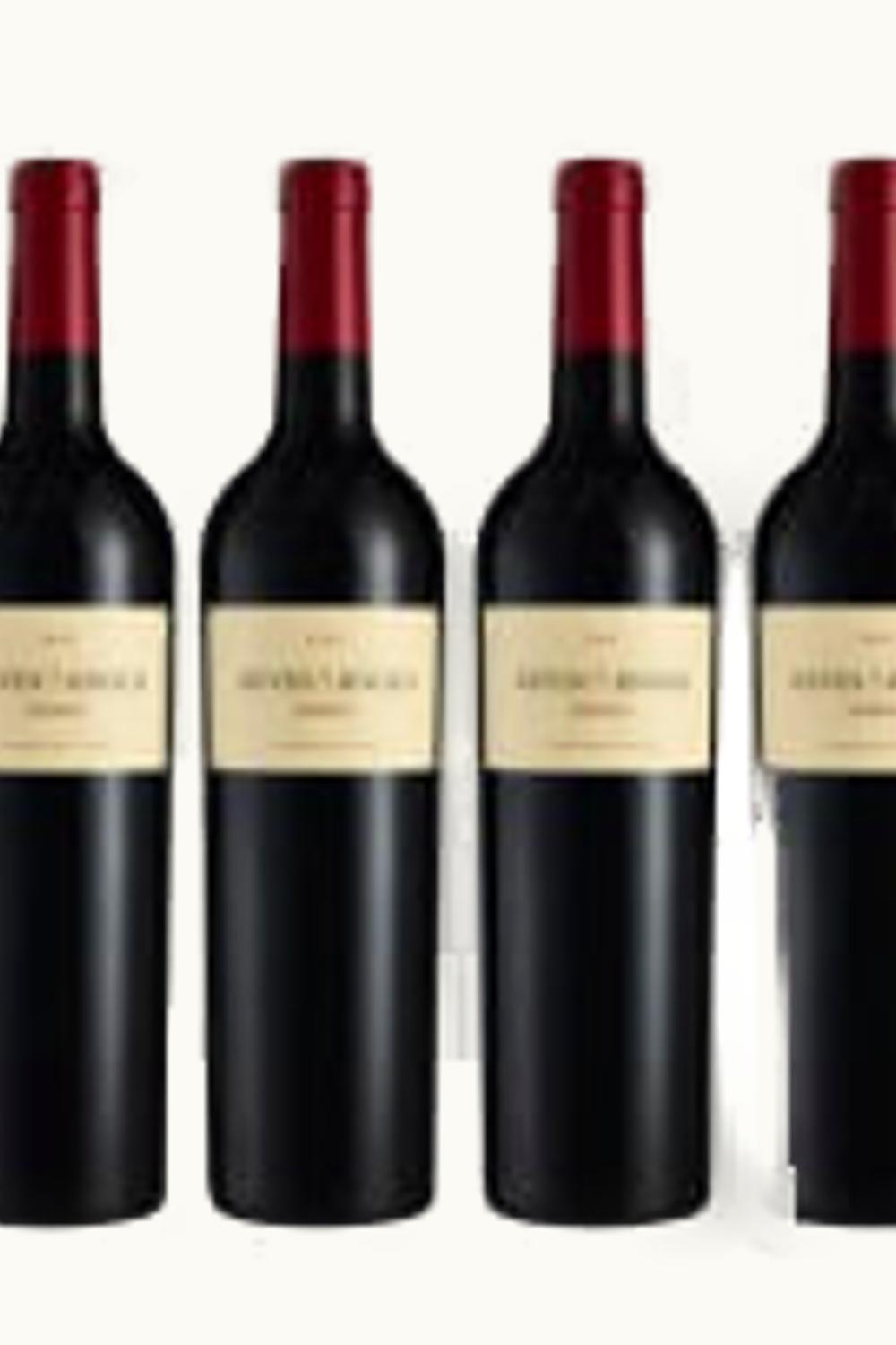 Waterford Estate Waterford Estate Stellenbosch Coastal Western Cape South Africa, 2005 UZ0713399