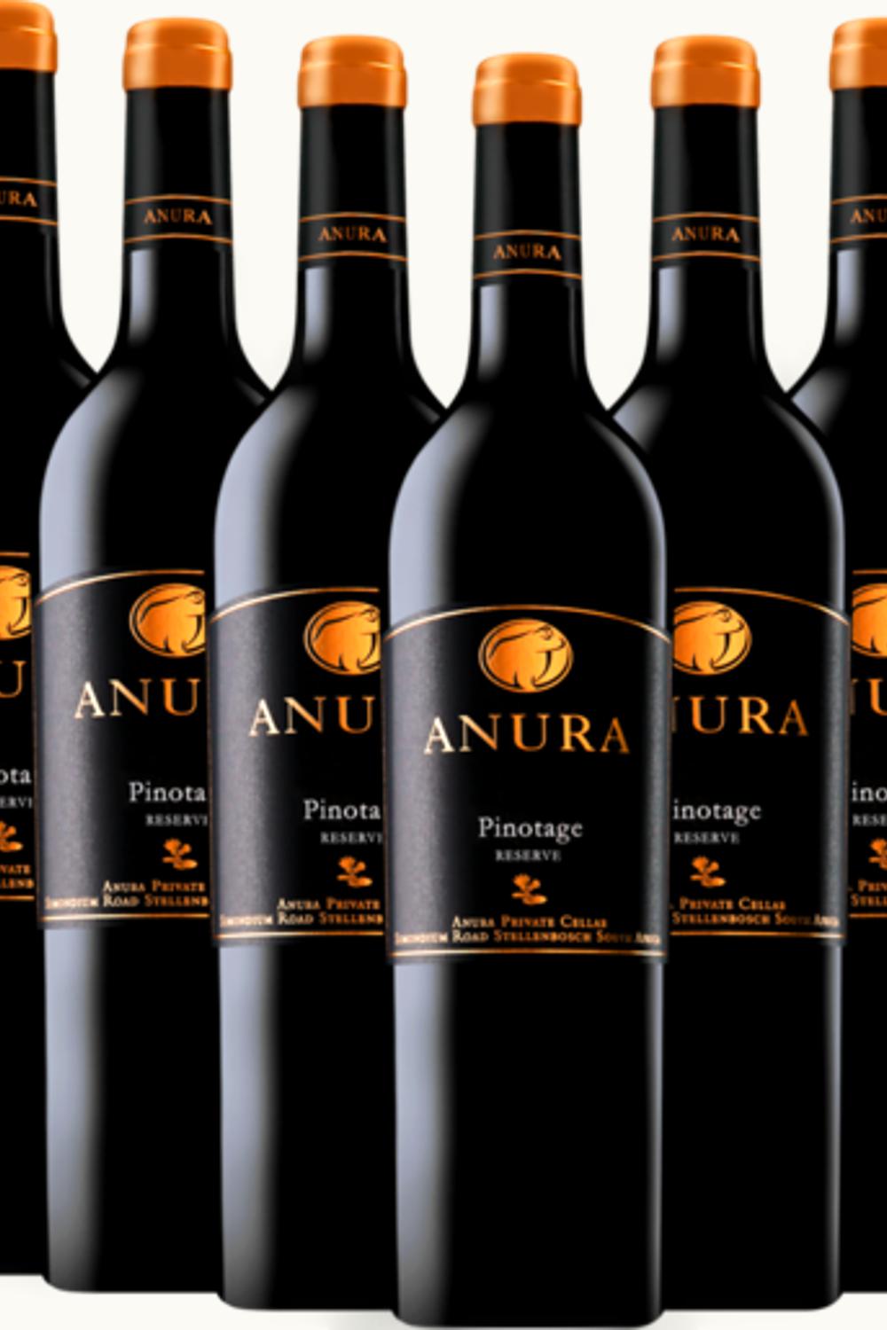 Anura Anura Paarl Coastal, Western Cape, South Africa, 2004 UZ0713436