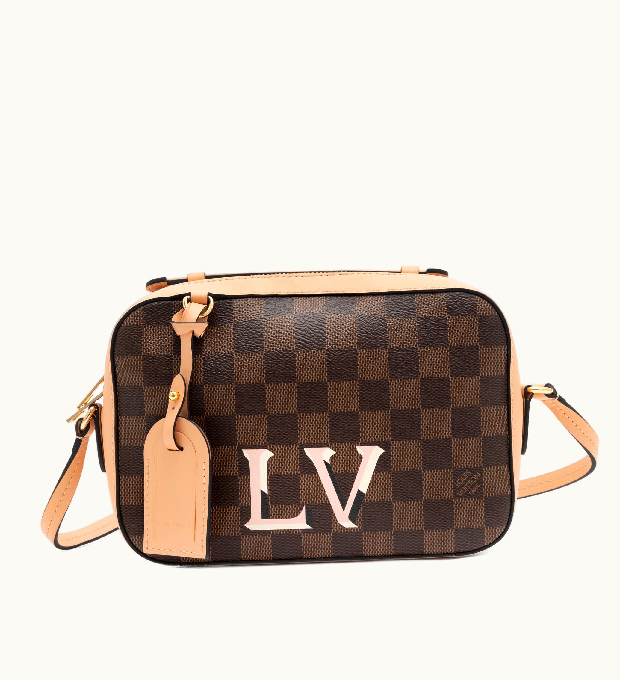 Louis Vuitton Louis Vuitton Brown Damier Ebene Coated Canvas and Pink Leather Santa Monica Camera Bag Gold Hardware, 2019