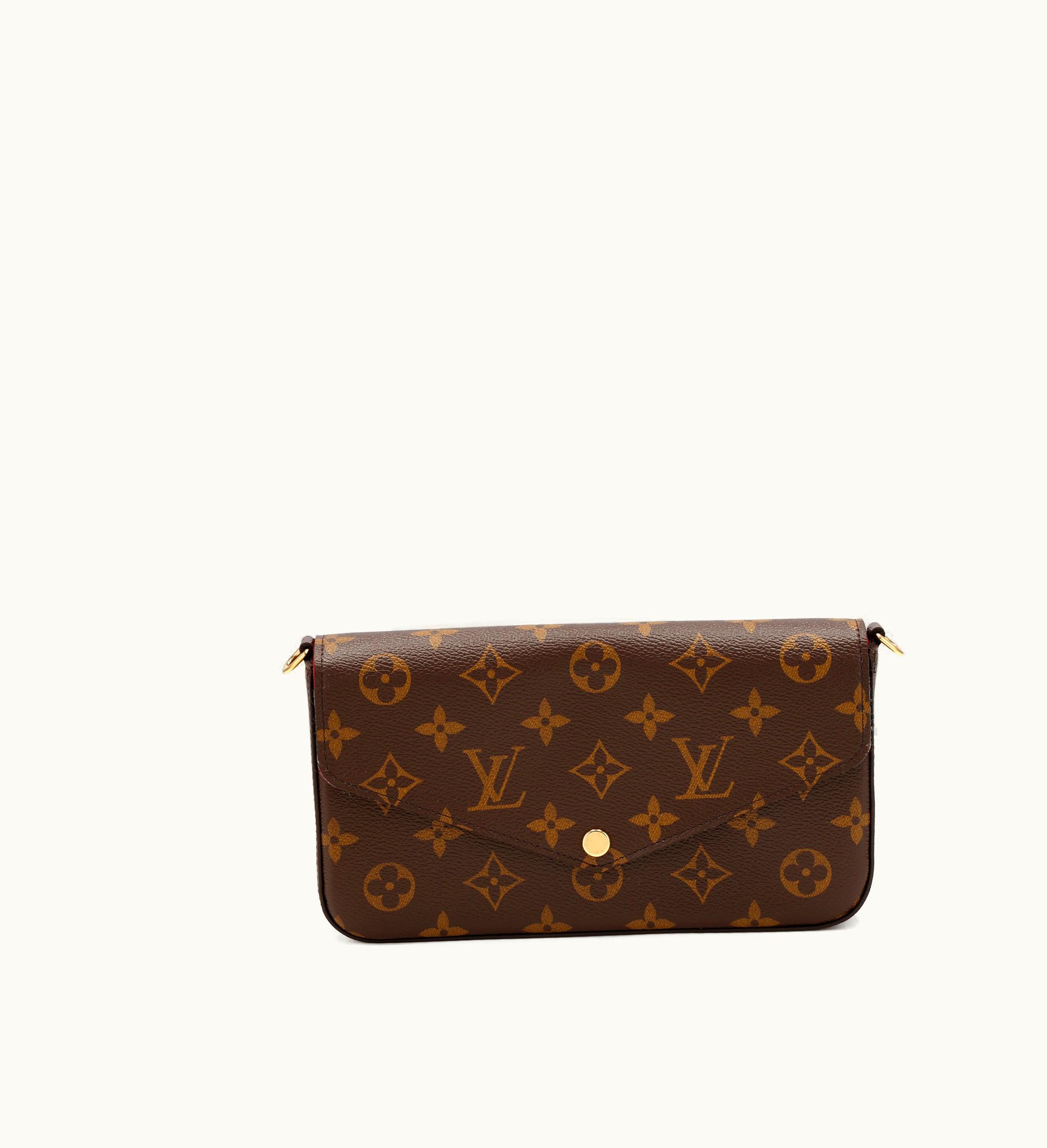 Louis Vuitton Louis Vuitton 2021-2022 Louis Vuitton Félicie Pochette with Gold Hardware in Ebene Monogram Coated Canvas