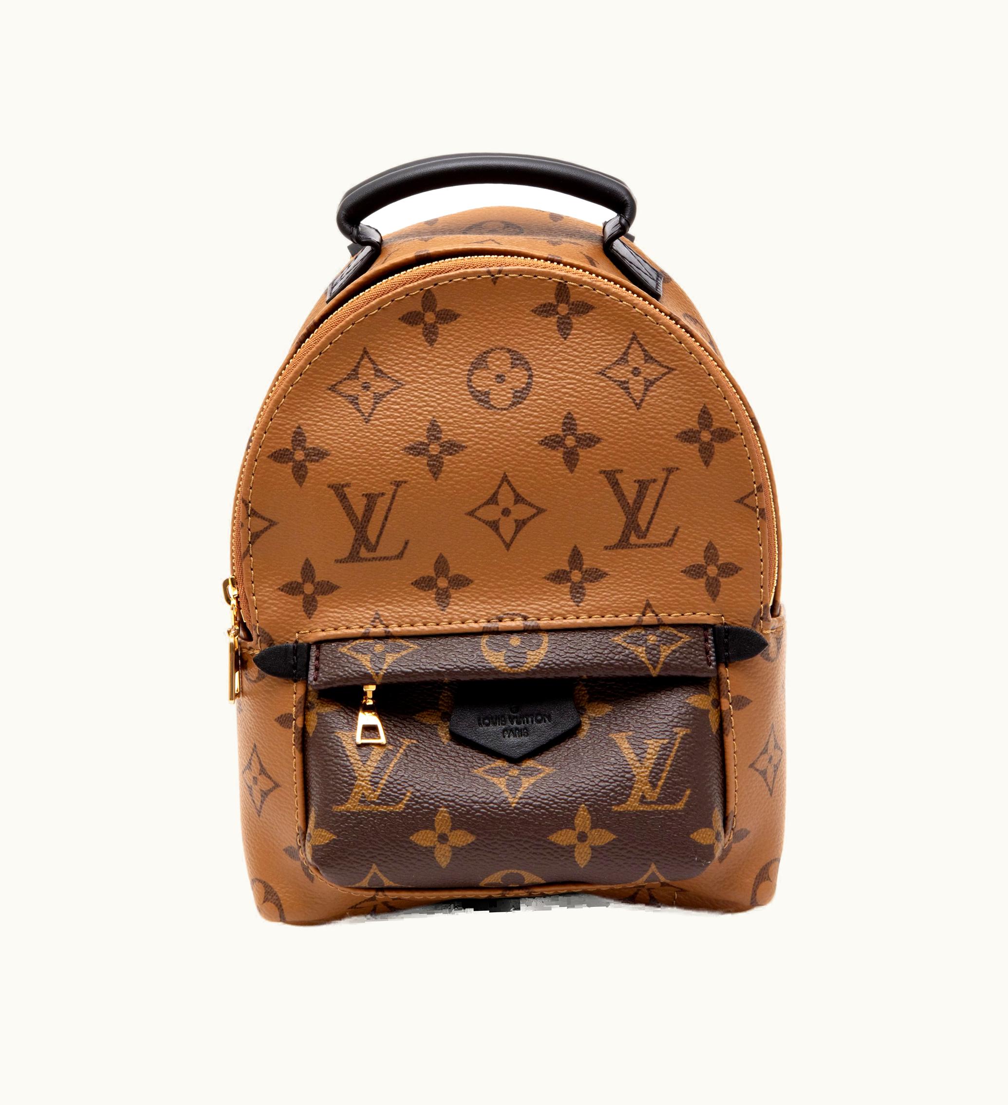 Louis Vuitton Louis Vuitton 2021's Louis Vuitton Palm Springs Mini Backpack, featuring Ebene Reverse Monogram Coated Canvas and Gold Hardware