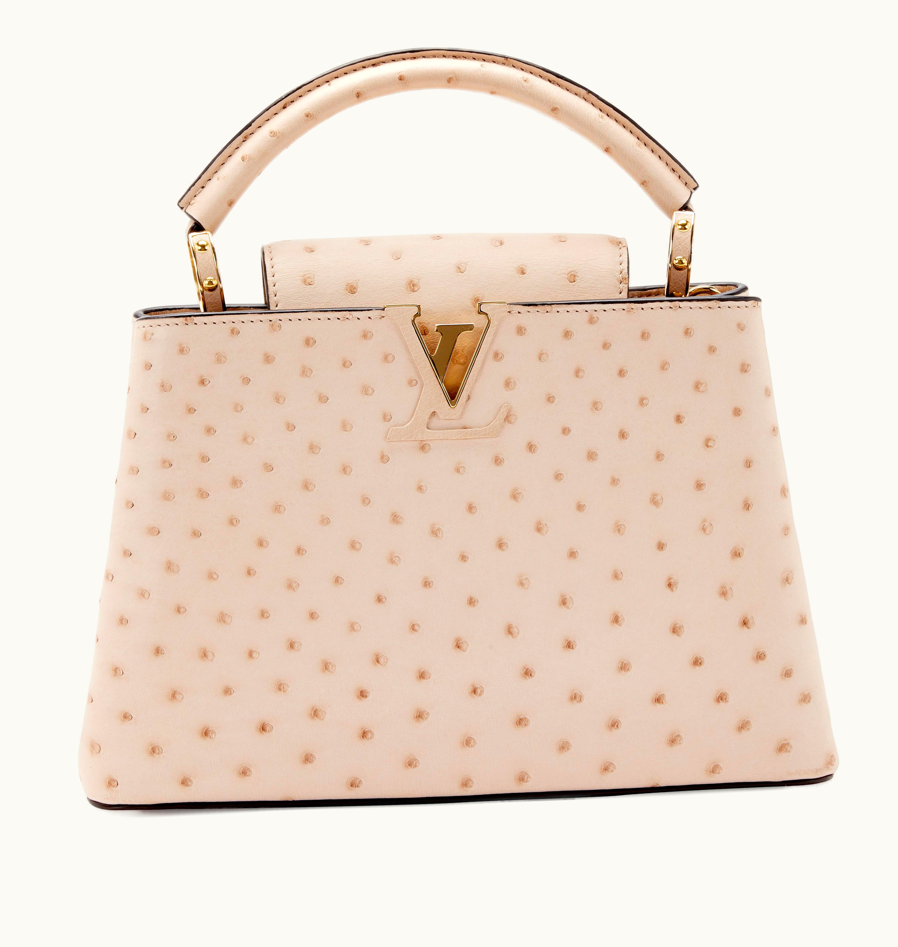Louis Vuitton Louis Vuitton 2020 Louis Vuitton Capucines BB with Gold Hardware in Rose Poudre Ostrich