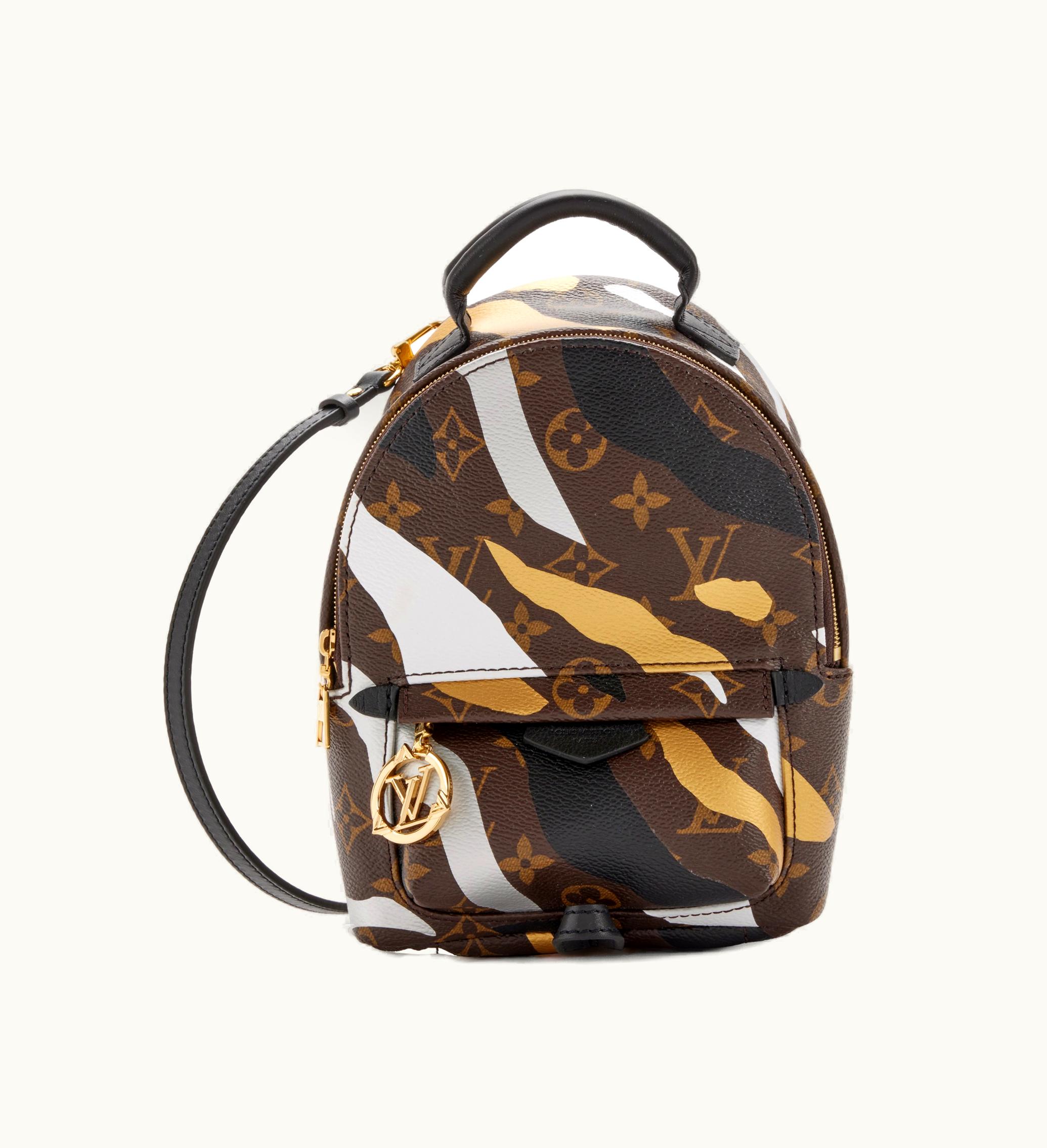 Louis Vuitton Louis Vuitton Mini Palm Springs Backpack in Multicolor Monogram Canvas with Gold Hardware, released in 2019 for the League of Legends collaboration
