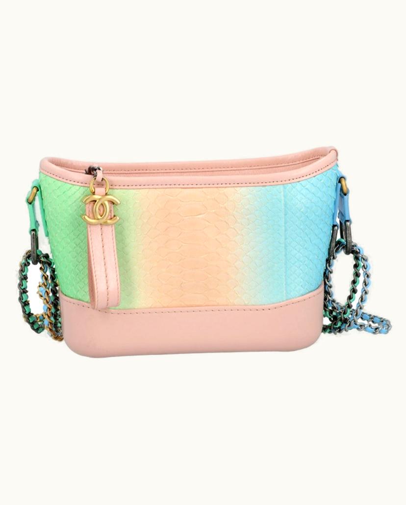 Chanel Chanel Gabrielle Exotic Leather Shoulder Bag 2019 Collection Pastel Tones