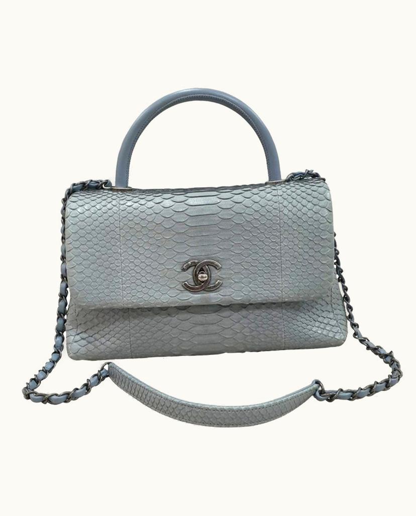 Chanel CHANEL Python Coco Handle Flap Bag in Gray Blue