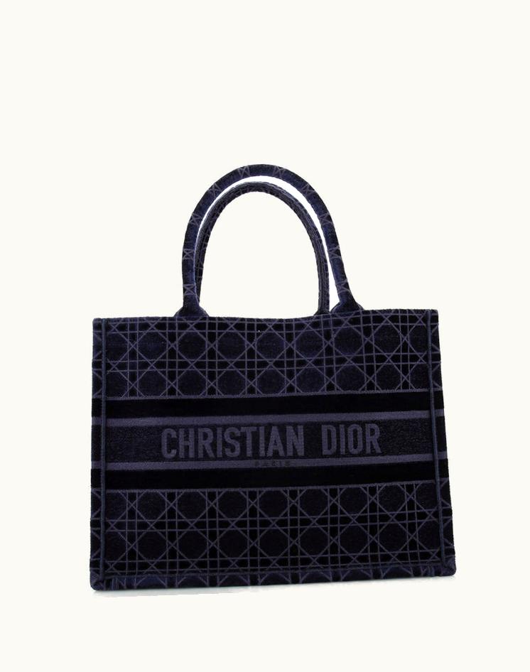 Dior Dior Book Tote Cannage Embroidered Velvet Medium