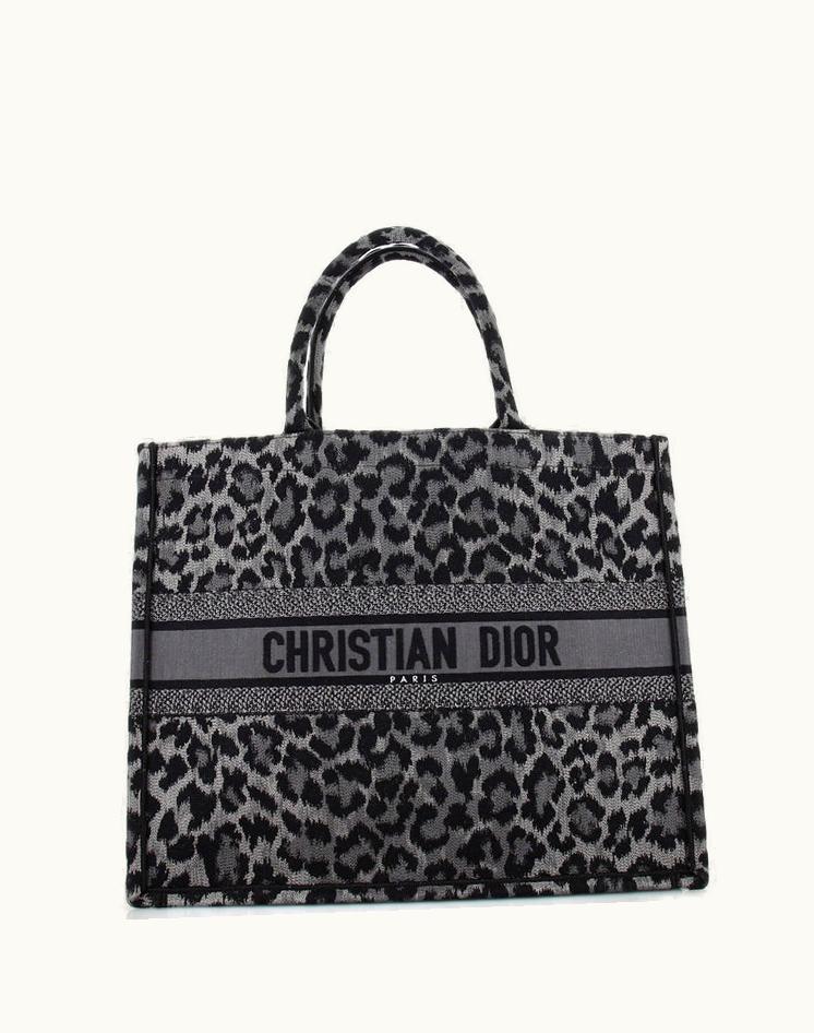 Dior Dior Book Tote Embroidered Canvas Large Gray