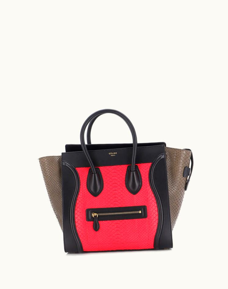 Celine Celine Luggage Bag Python And Leather Mini Exotic Green & Pink