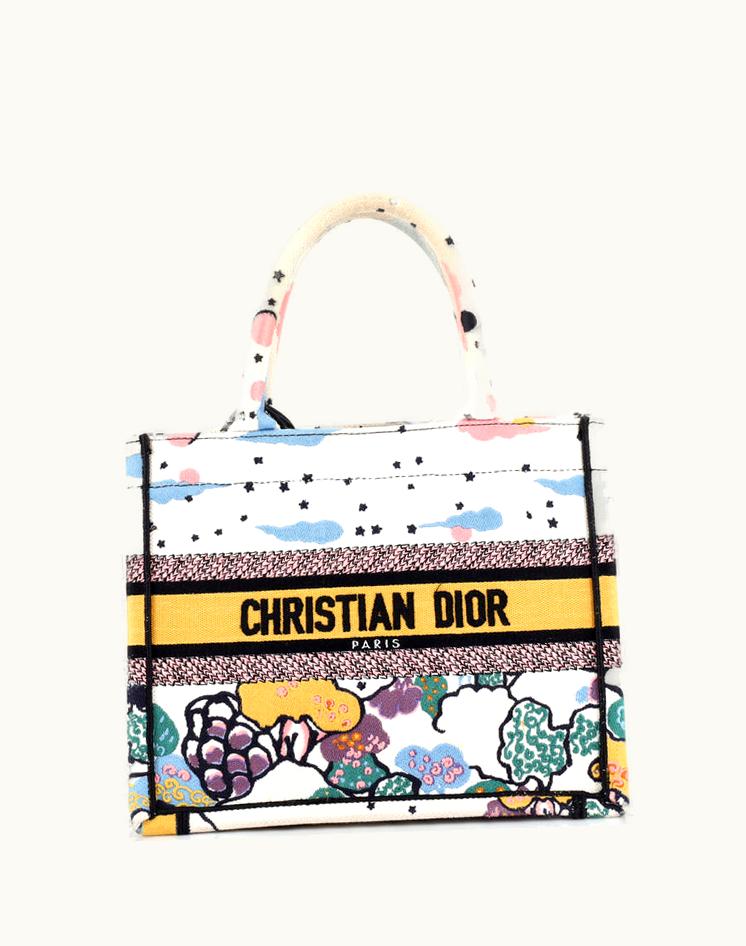 Dior Christian Dior Book Tote Embroidered Canvas Small in Print and White