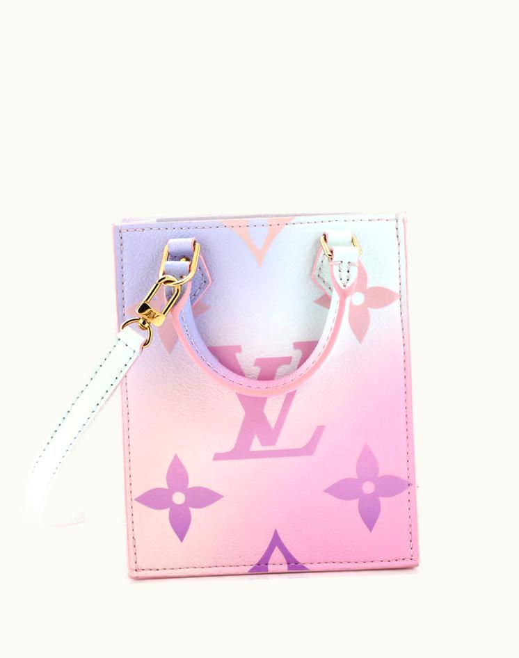 Louis Vuitton Louis Vuitton Petit Sac Plat Bag Spring In The City Monogram Giant Canvas