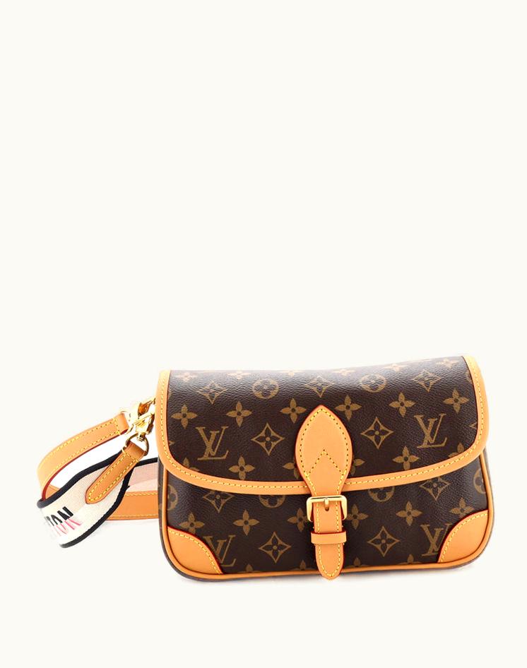 Louis Vuitton Louis Vuitton Diane NM Handbag Monogram Canvas Brown