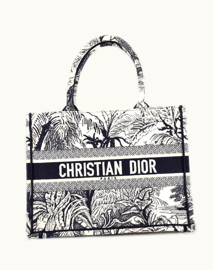 Dior Christian Dior Book Tote Embroidered Canvas Medium in Blue
