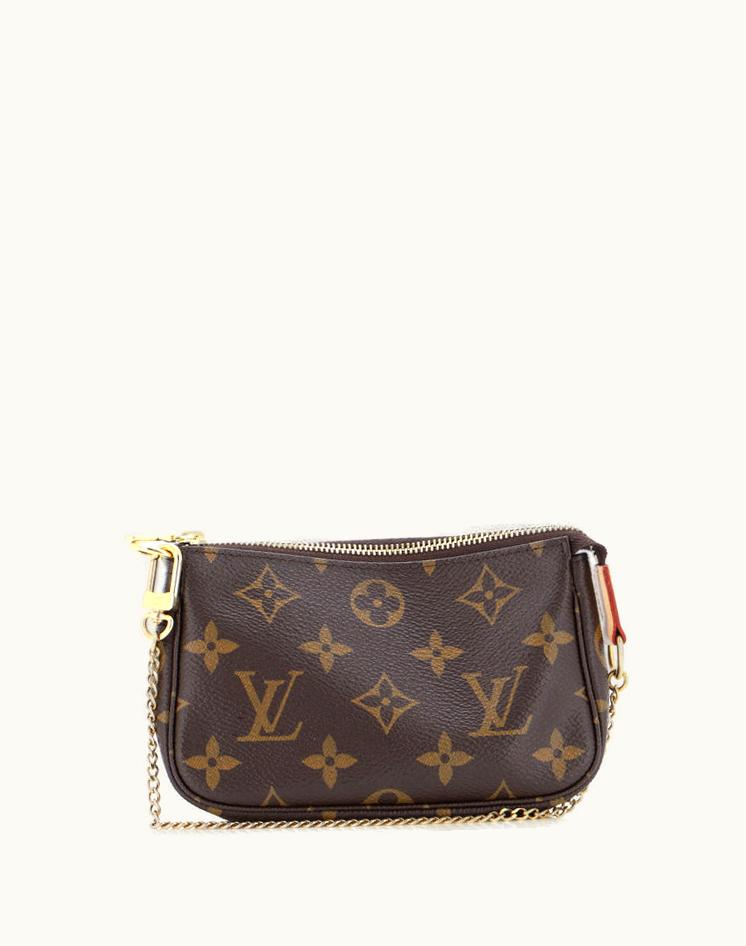 Louis Vuitton Louis Vuitton Pochette Accessoires Monogram Canvas Mini Brown