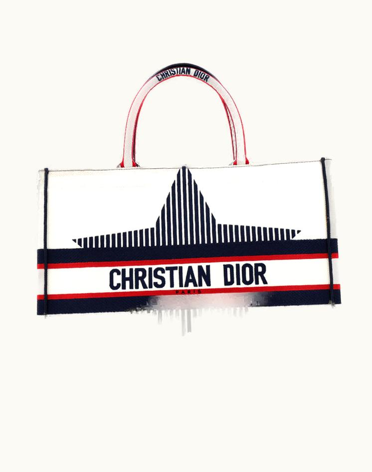 Dior Christian Dior Book Tote Embroidered Canvas Large Plain & White