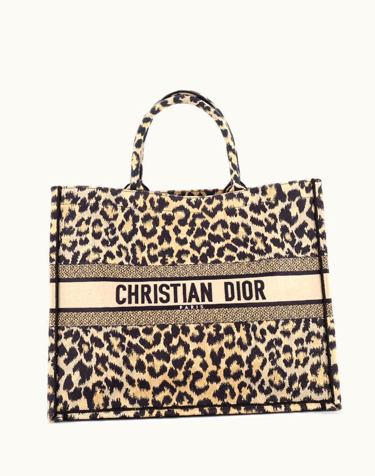 Dior Dior Mizza Embroidered Canvas Large Book Tote - Plain Canvas with Print