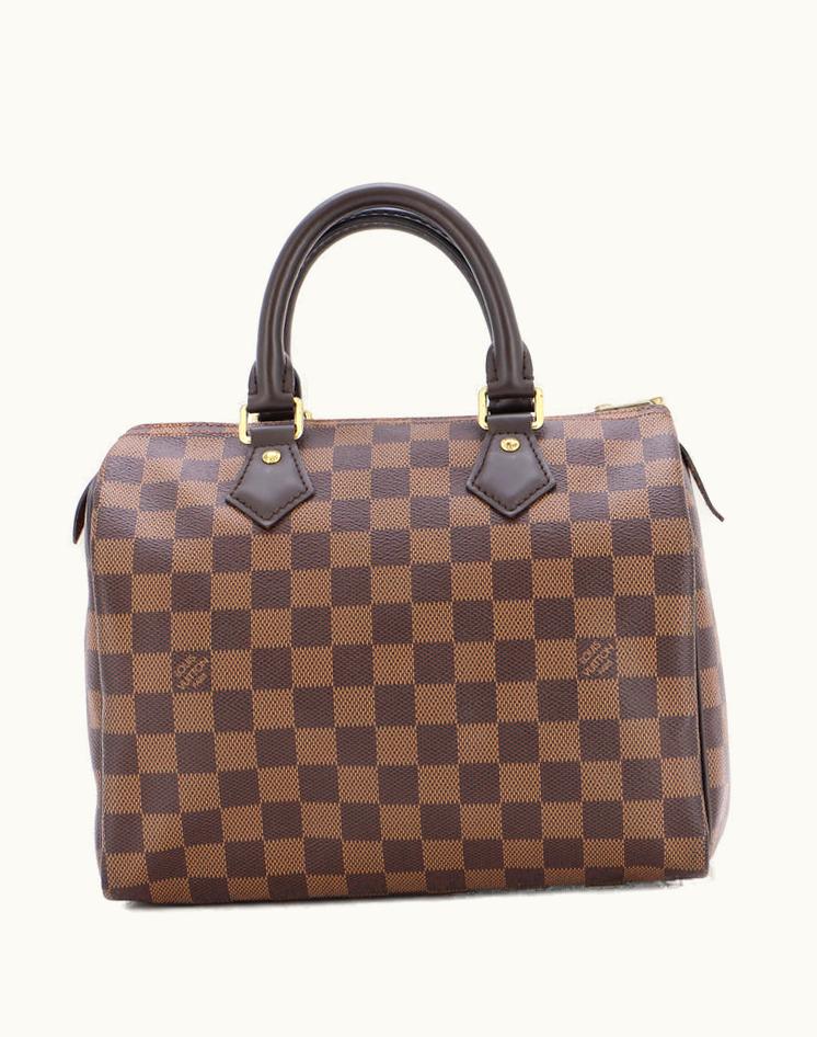 Louis Vuitton Louis Vuitton Speedy Damier 25 Handbag Brown