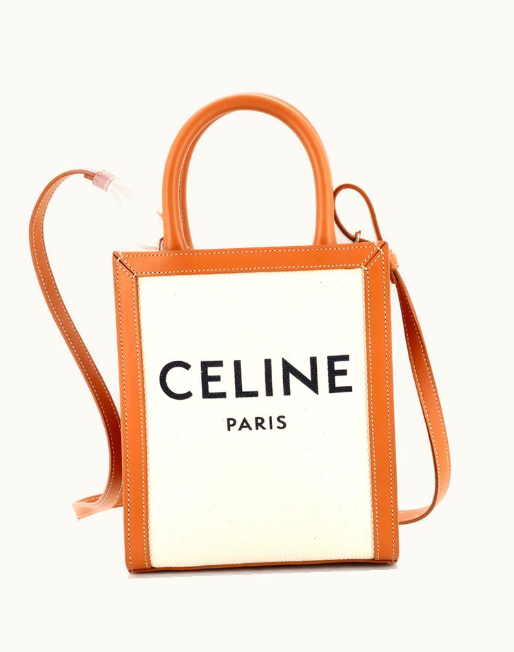 Celine Celine Vertical Cabas Tote Canvas With Leather Mini Luxury Tote Neutral