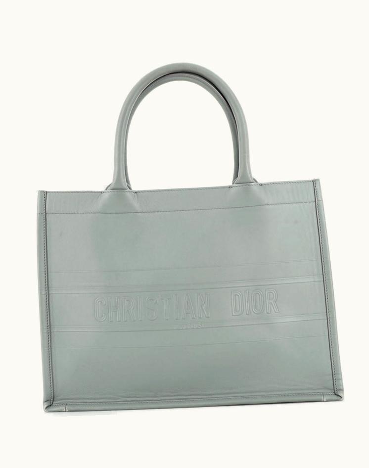 Dior Dior Book Tote Embossed Gradient Leather Small